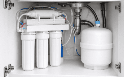 Is a Reverse Osmosis Water Filter San Diego Homes Worth the Cost?